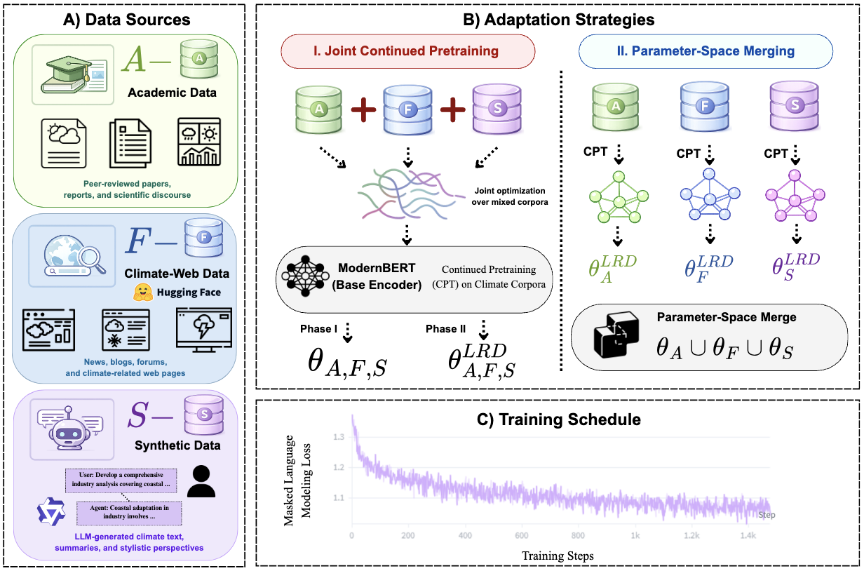 The ClimateModernBERT adaptation framework: three climate corpora feed either joint continued pretraining or independent continued pretraining followed by a parameter-space merge, on a two-phase schedule.